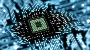澳洲留學計算機方向選擇指南 IT、CS與軟件工程的差異詳解